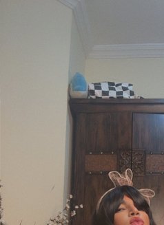 Only For VVIP’s - Transsexual escort in Dubai Photo 7 of 8