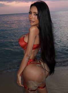 Only Nadia🇧🇷 - puta in Phuket Photo 25 of 29