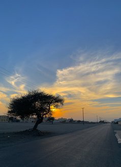 Only ViP’s - Transsexual escort in Ajmān Photo 7 of 8