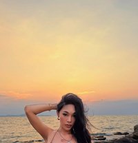 Opal let’s have fun together bb - Transsexual escort in Bangkok Photo 29 of 30