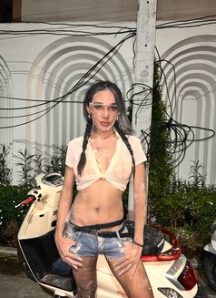 Opal let’s have fun together bb - Transsexual escort in Bangkok Photo 28 of 29