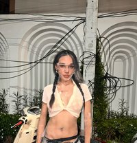 Opal let’s have fun together bb - Transsexual escort in Bangkok