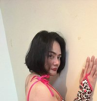 Opal - Acompañantes transexual in Al Manama