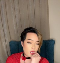 Opor - Transsexual escort in Khobar