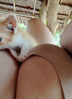 Orange Best 🇹🇭Full Service Message - escort in Bangkok Photo 1 of 12