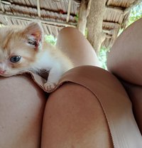 Orange Best 🇹🇭Full Service Message - escort in Bangkok
