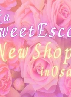 Osaka Sweet Escort - puta in Osaka Photo 1 of 7