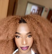 Oshun - Acompañantes transexual in Nairobi