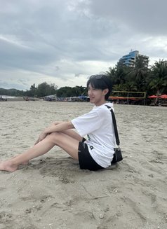 Ossy - Transsexual escort in Bangkok Photo 2 of 2