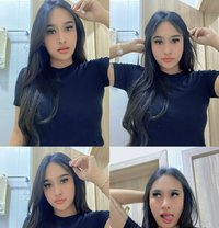 Outcall-incall available - escort in Al Sohar