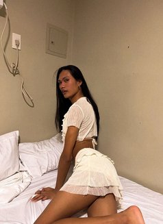 Ovis Aries - Acompañantes transexual in Manila Photo 1 of 3
