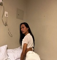 Ovis Aries - Acompañantes transexual in Manila