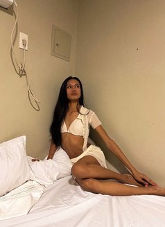 Ovis Aries - Acompañantes transexual in Manila Photo 2 of 3