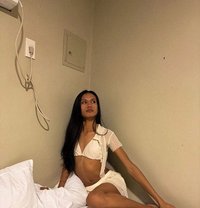 Ovis Aries - Acompañantes transexual in Manila