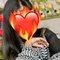 Oviya 100% Verified Profile - escort in Bangalore