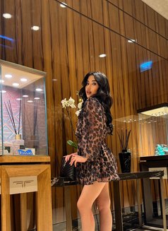 Özge - escort in Dubai Photo 12 of 15