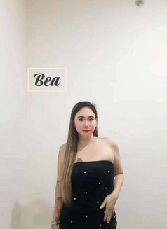 P Outcall Massage Cebu - escort in Cebu City Photo 18 of 25