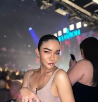 Pailin🇹🇭 The Pearl of the Andaman🩵 - Transsexual escort in Phuket