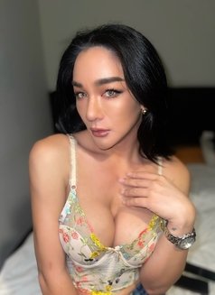 Pailin🇹🇭 The Pearl of the Andaman🩵 - Transsexual escort in Phuket Photo 23 of 23