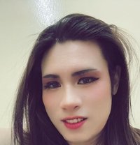 Pairly Ledyboy - Transsexual escort in Ajmān
