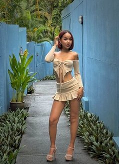 Pakbung new here - puta in Phuket Photo 4 of 8