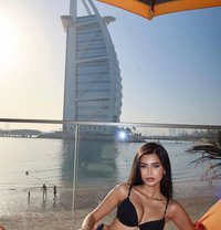 Pallavi Indian - puta in Abu Dhabi