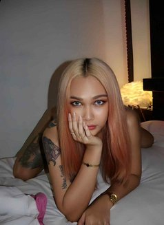 Palmmy Ladyboy Thailand Good Top - Transsexual escort in Dubai Photo 2 of 17
