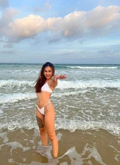 Palmmy Ladyboy Thailand Good Top - Transsexual escort in Dubai Photo 16 of 17