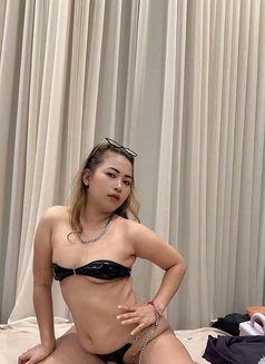 Palmmy Thailand Lady - puta in Riyadh Photo 7 of 13