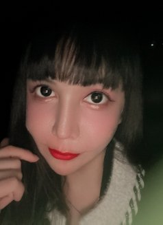 Palmy - escort in Seoul Photo 25 of 27