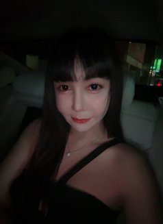 Palmy - puta in Seoul Photo 28 of 28