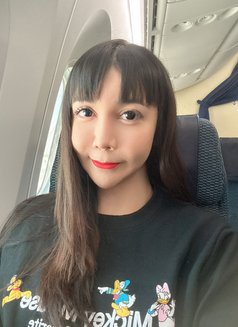 Palmy - escort in Tokyo Photo 30 of 30