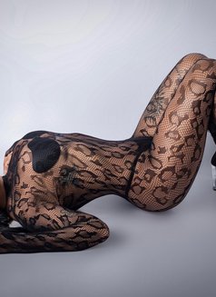 Paloma Available - masseuse in São Paulo Photo 15 of 19