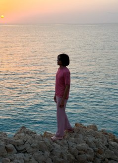 Paloma π΅ππ΅ππ΅π - Transsexual escort in Muscat Photo 4 of 6