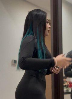 Pam from thailand 🇹🇭 - escort in Al Manama Photo 12 of 12