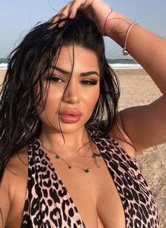 Pamela Babe - escort in Dubai Photo 2 of 17