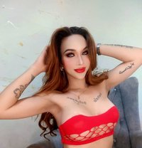 Pamela Cassandra - Acompañantes transexual in Kuala Lumpur