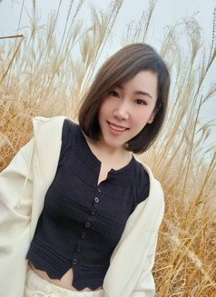 Pammie Back to Sg Already 🥰 - escort in Singapore Photo 5 of 13