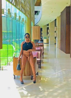 Pampam - puta in Noida Photo 6 of 9