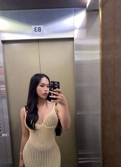 Pan - Acompañantes transexual in Sharjah Photo 6 of 7