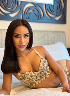 Pancake - Transsexual escort in Abu Dhabi Photo 20 of 20