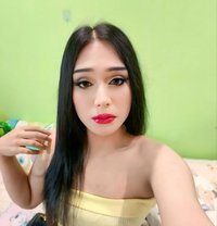 Kibcy - Acompañantes transexual in Phuket