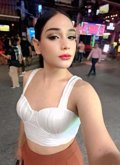 Panewan - Acompañantes transexual in Phuket Photo 6 of 7
