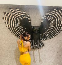 Pansy - Acompañantes transexual in Hyderabad