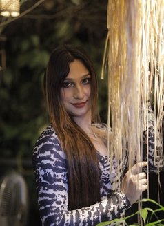 Pansy - Transsexual escort in Hyderabad Photo 30 of 30