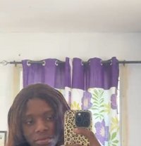 Panthress - Transsexual escort in Nairobi