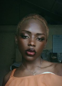 Panthress - Transsexual escort in Nairobi Photo 5 of 5