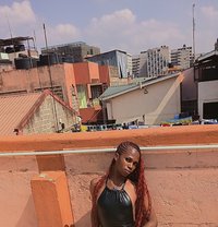 Panthress - Transsexual escort in Nairobi