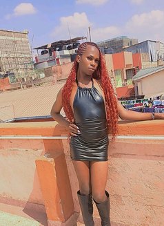 Panthress - Transsexual escort in Nairobi Photo 6 of 8