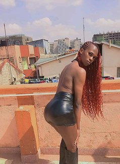 Panthress - Transsexual escort in Nairobi Photo 7 of 8